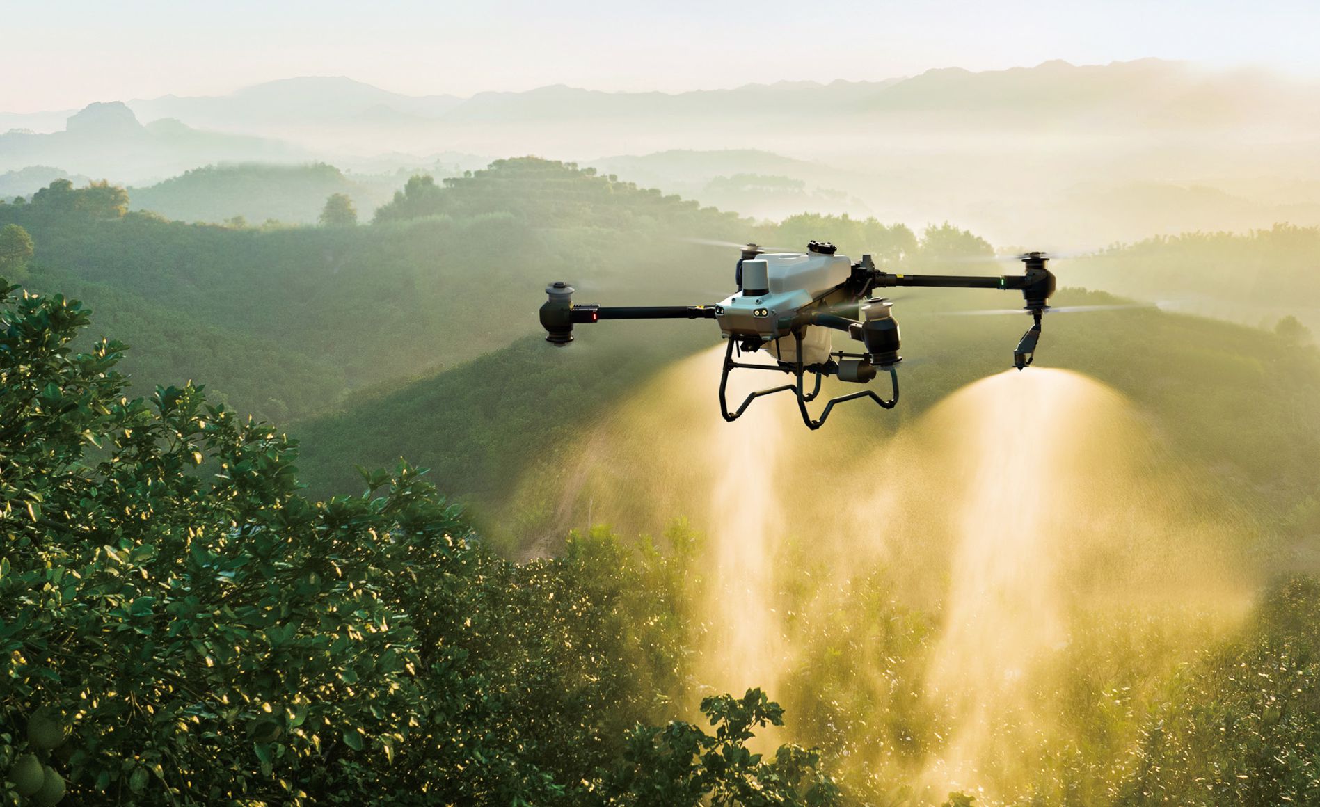 Drone Agriculture